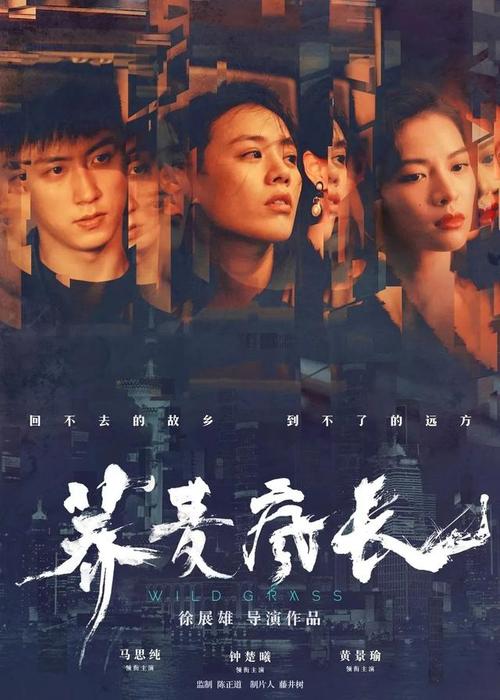 巴勒莫大学本科成绩单